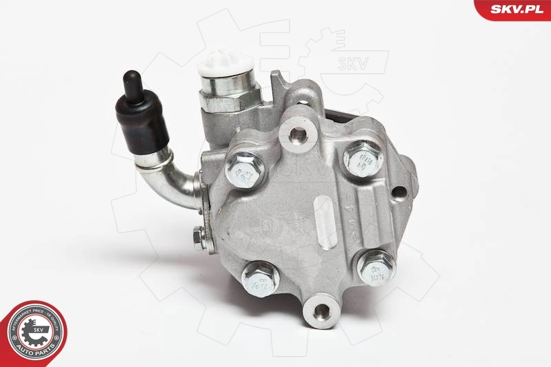 Hydraulic Pump, steering 10SKV075
