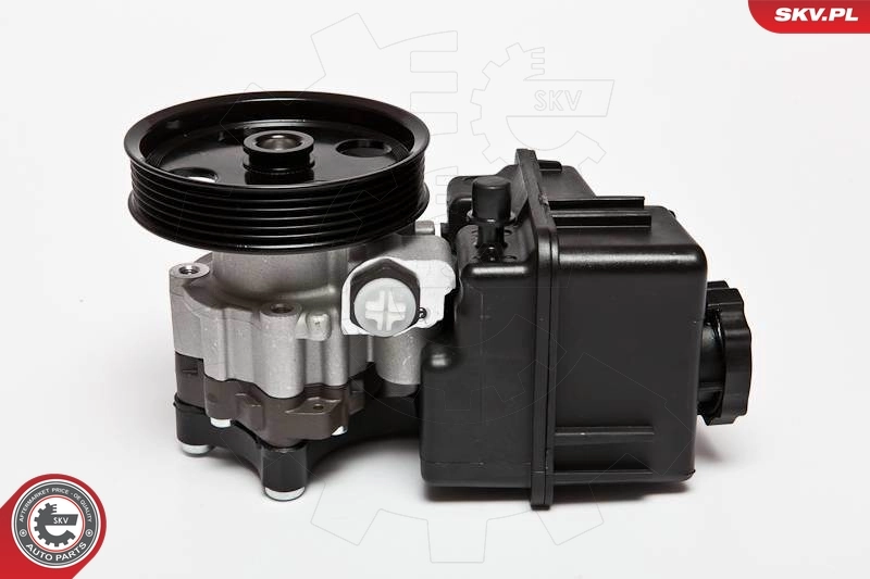 Hydraulic Pump, steering 10SKV107