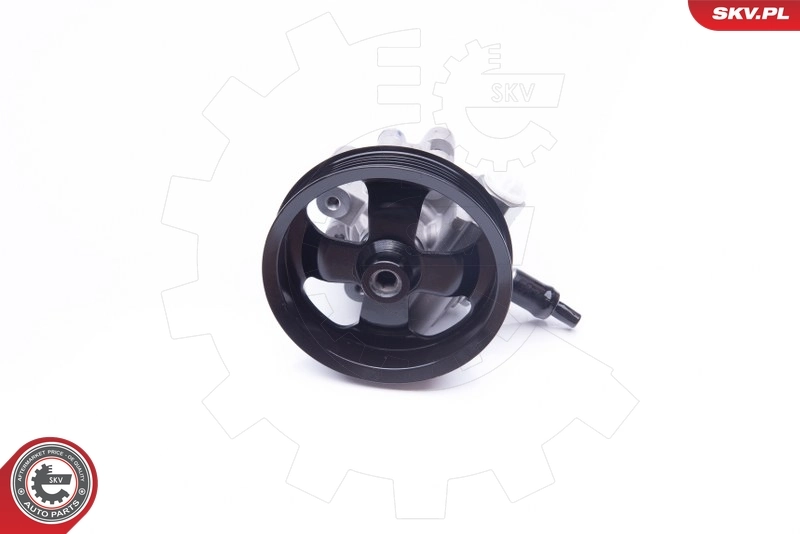 Hydraulic Pump, steering 10SKV265