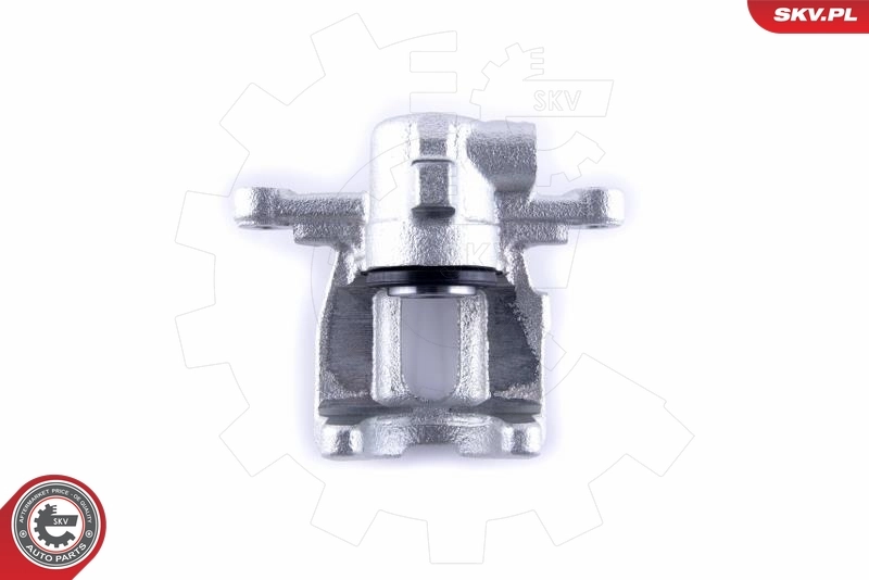 Brake Caliper 55SKV233