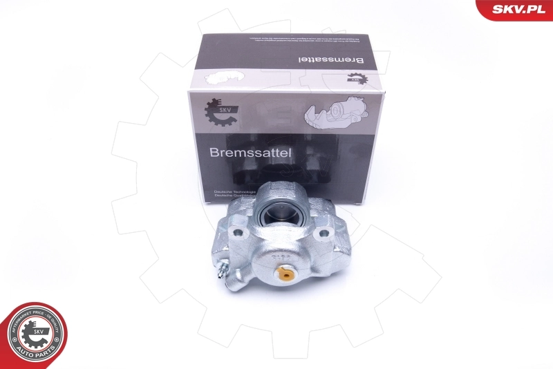 Brake Caliper 45SKV282
