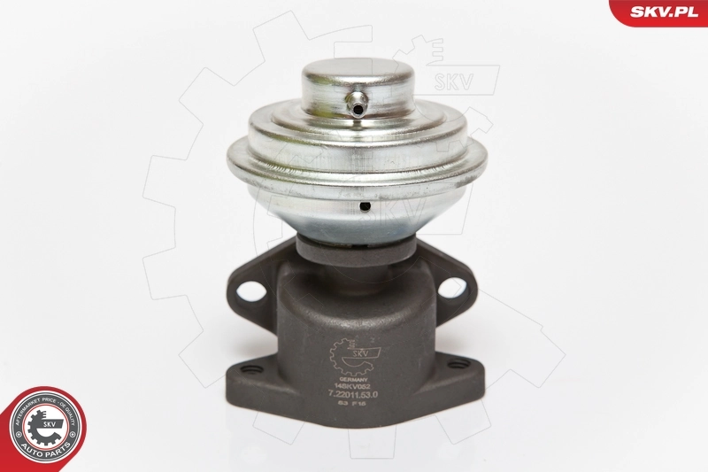 EGR Valve 14SKV052