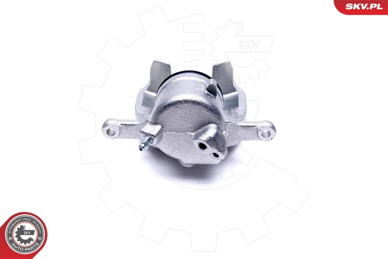 Brake Caliper 46SKV782