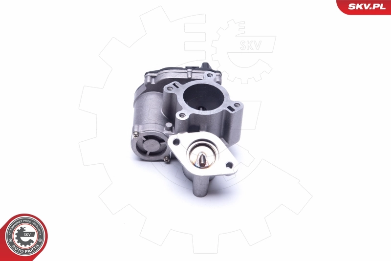 EGR Valve 14SKV184