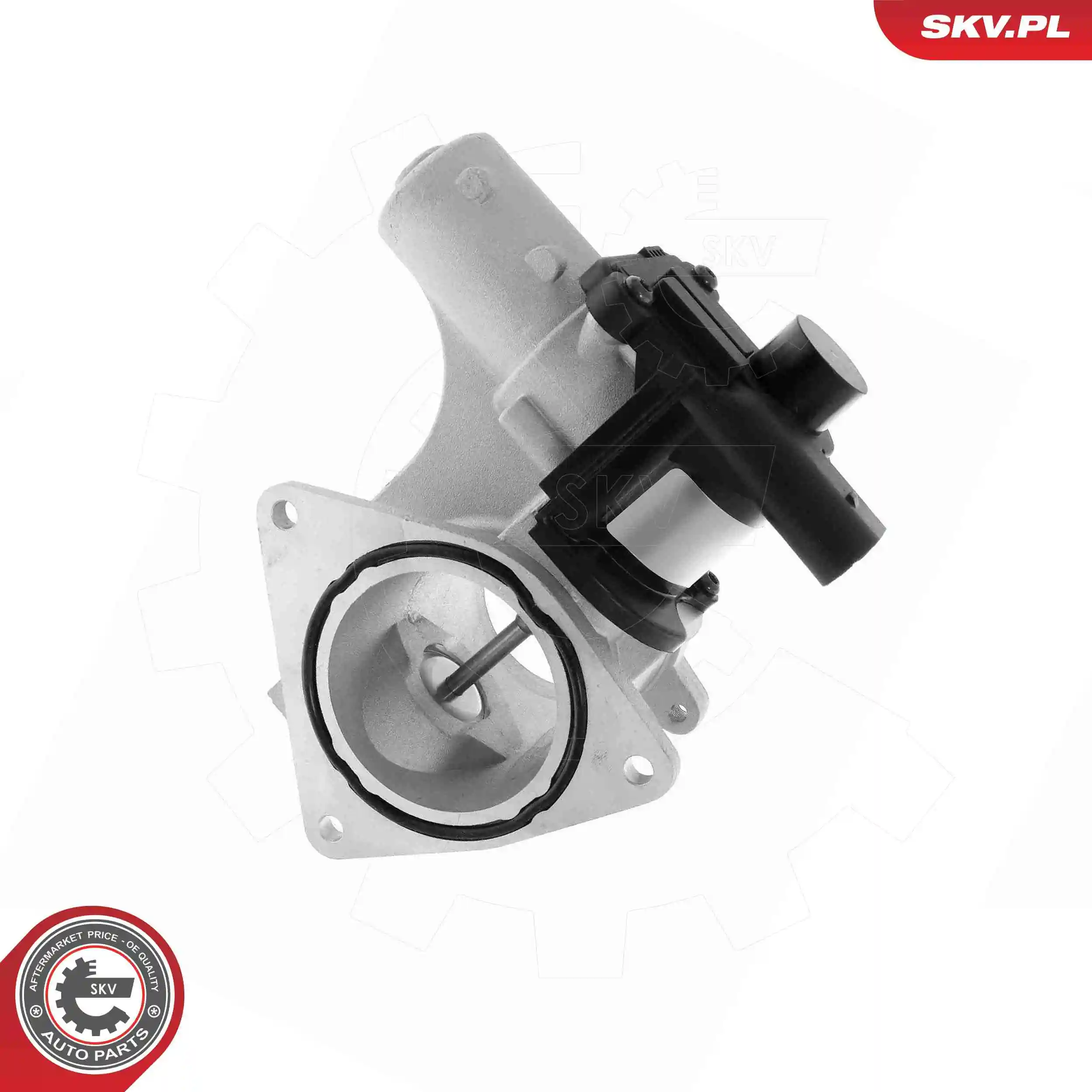 EGR Valve 14SKV320