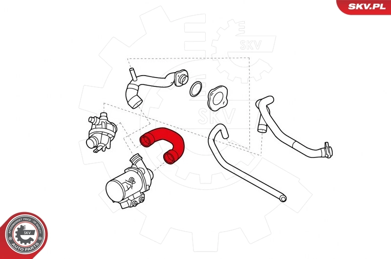 Radiator Hose 43SKV745