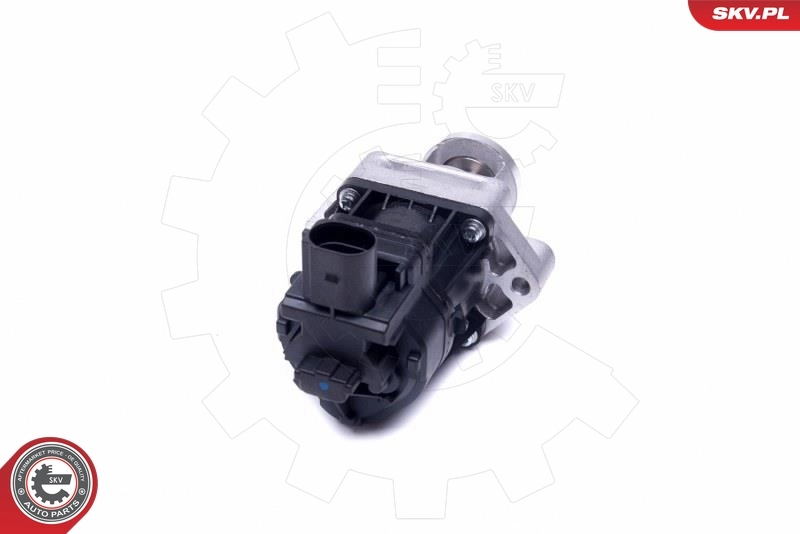 EGR Valve 14SKV217