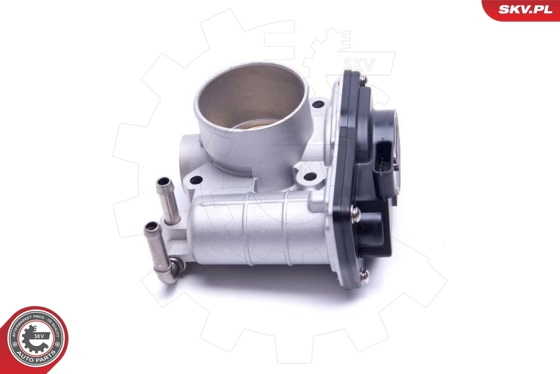 ESEN SKV 12SKV110 Throttle Body