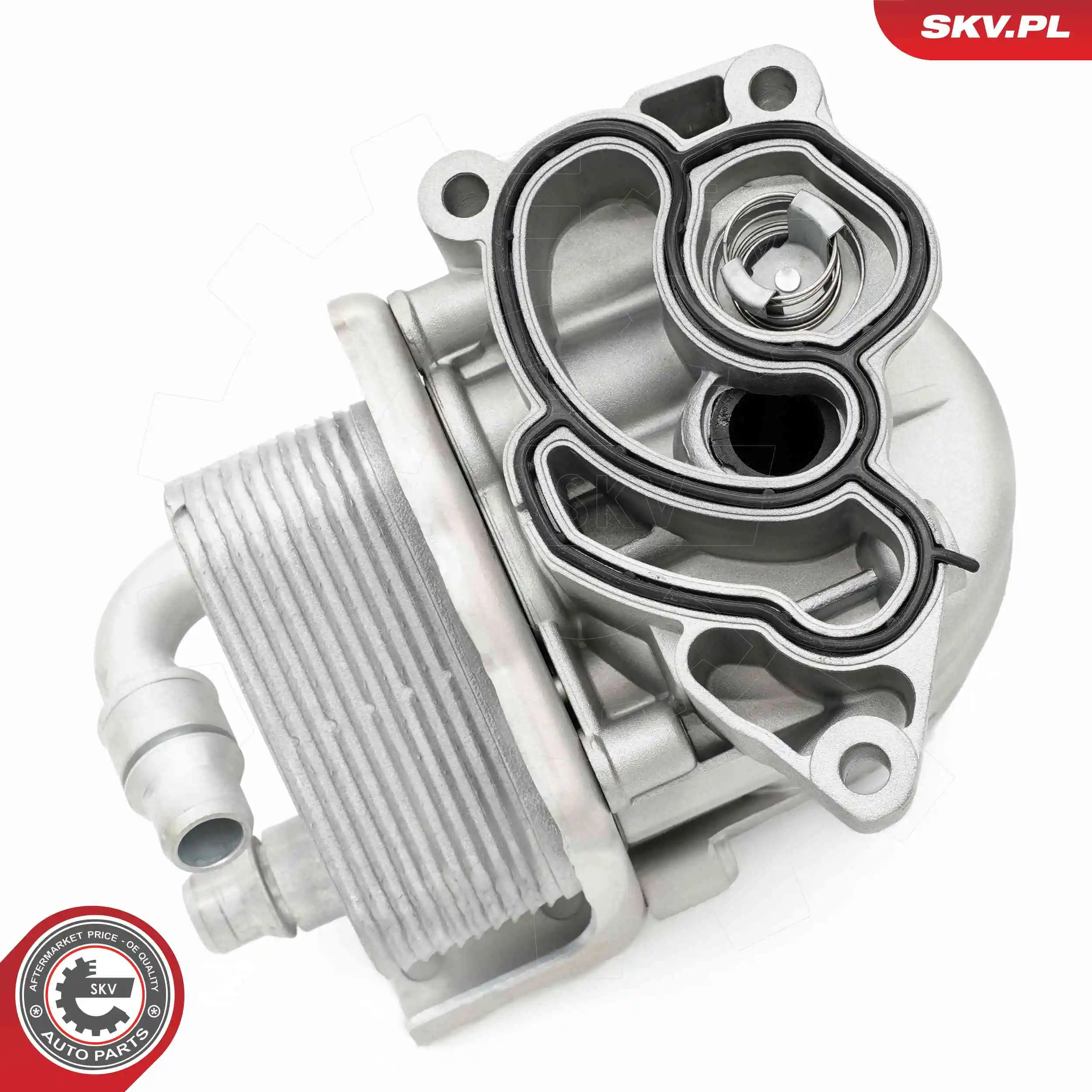 Oil Cooler, engine oil 31SKV443