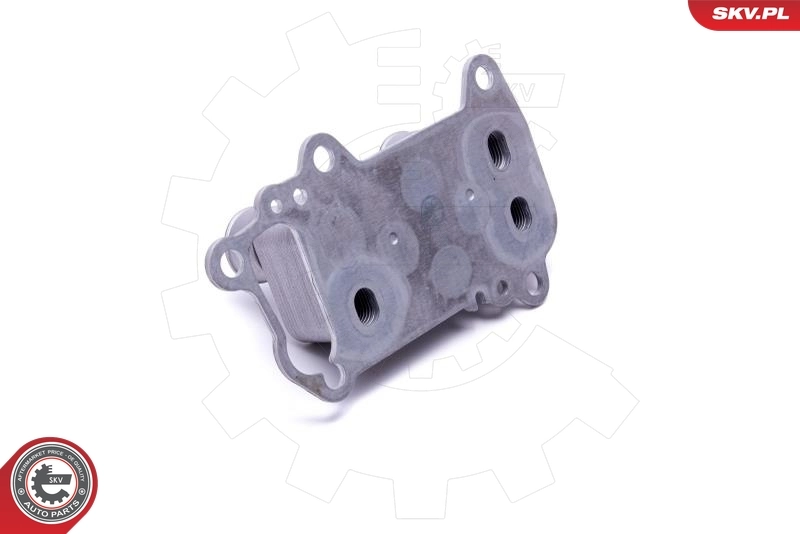 Oil Cooler, engine oil 31SKV225