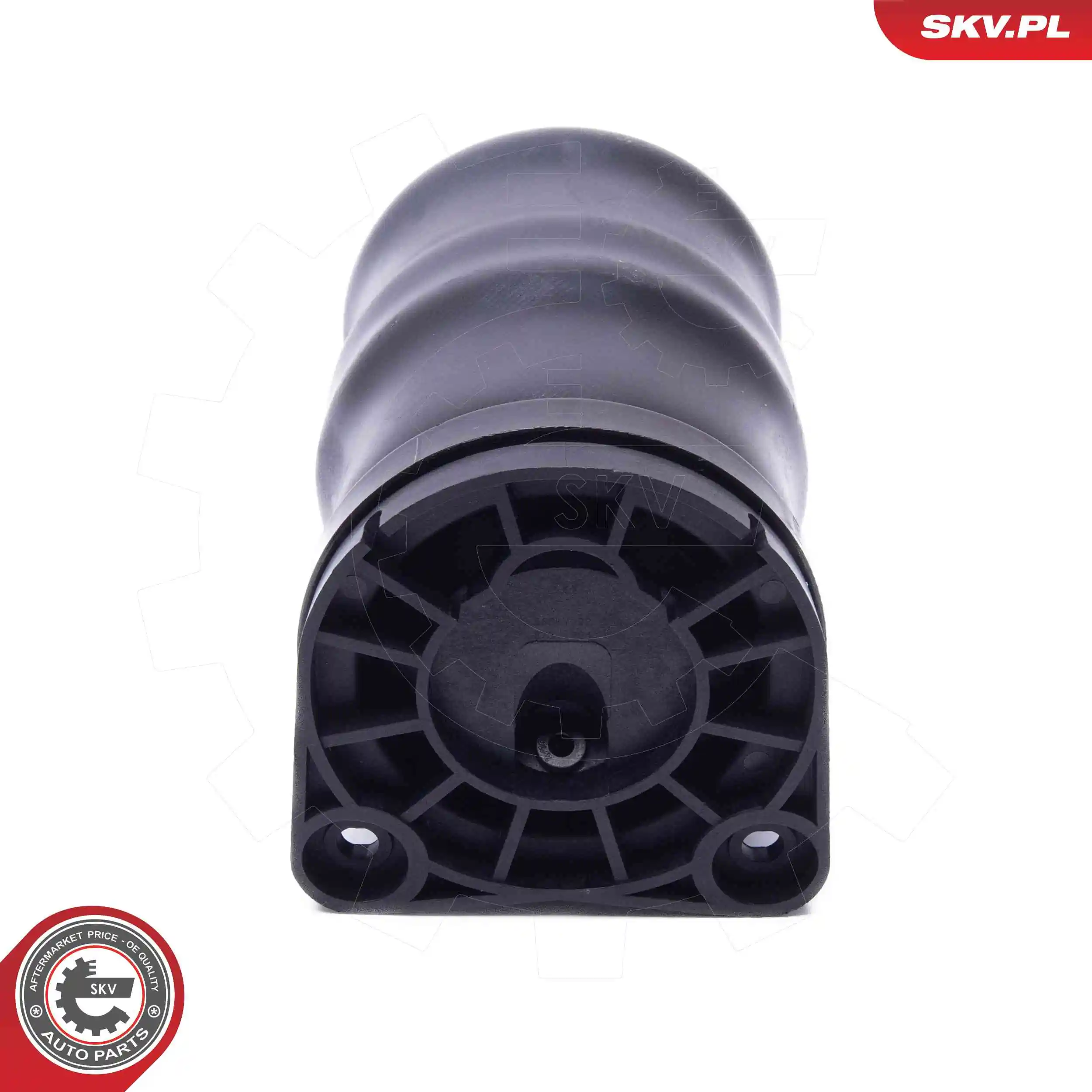 Air Spring, suspension 58SKV092