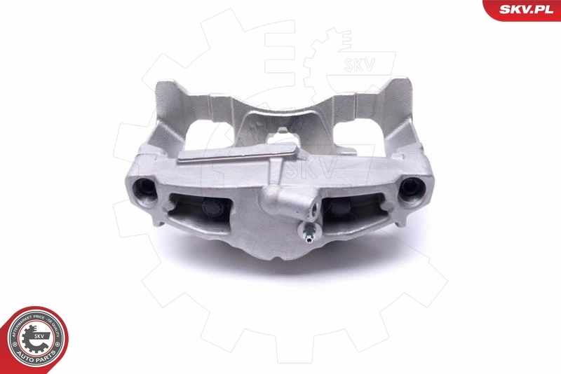 Brake Caliper 55SKV781