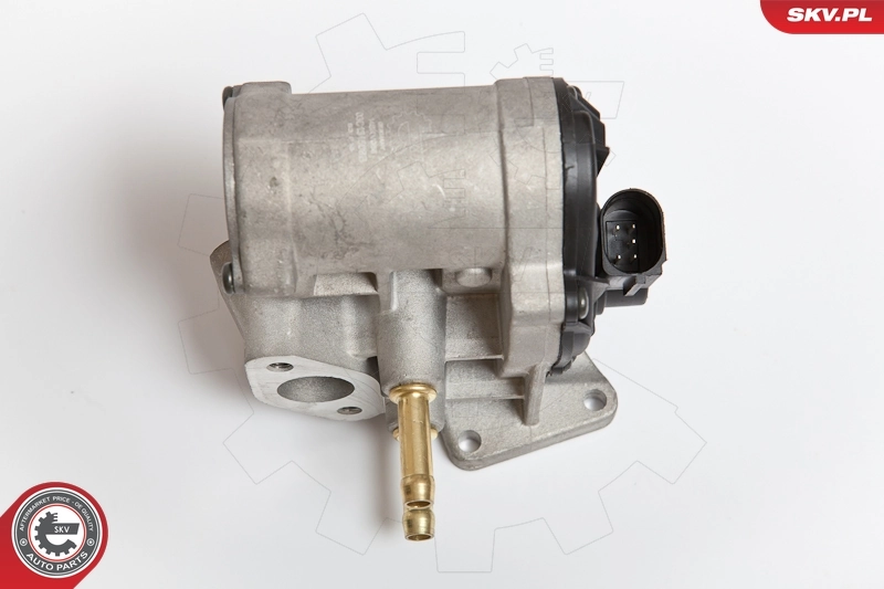 EGR Valve 14SKV086
