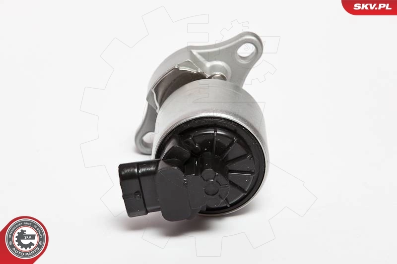 EGR Valve 14SKV042