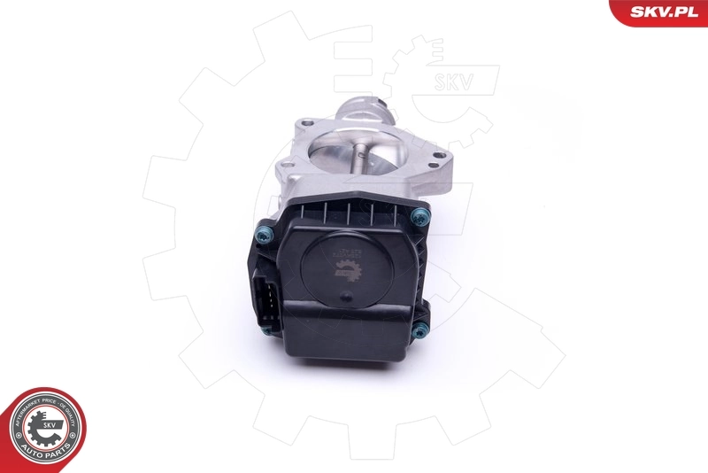 Throttle Body 12SKV072