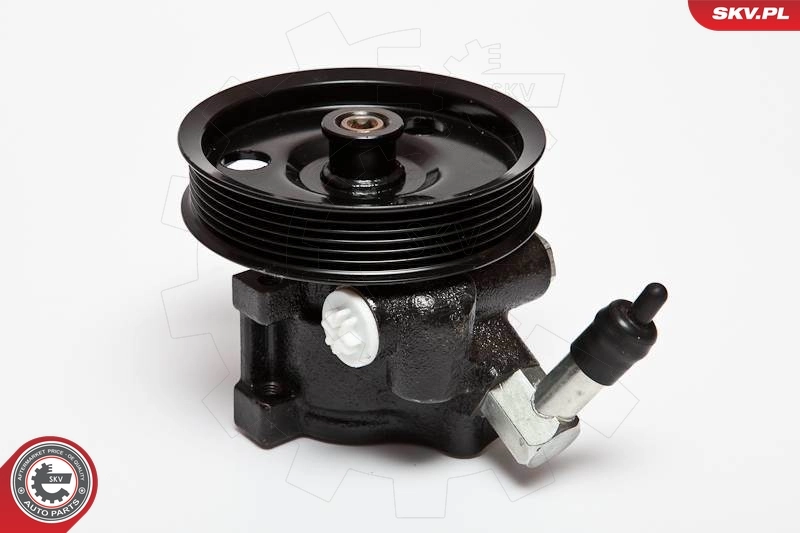 Hydraulic Pump, steering 10SKV066