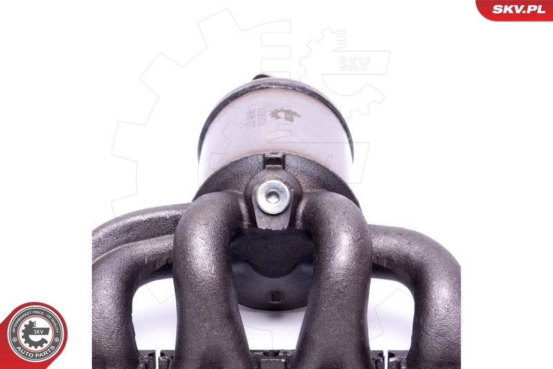 Catalyseur 62SKV006