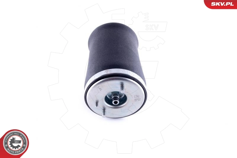 Air Spring, suspension 58SKV004