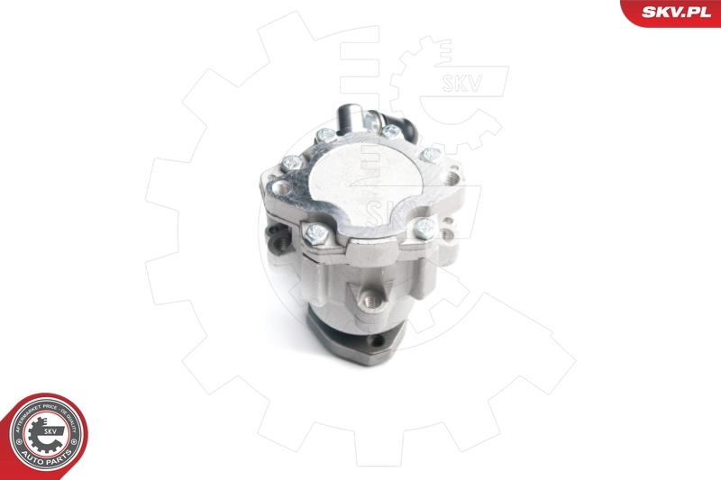 Hydraulic Pump, steering 10SKV173