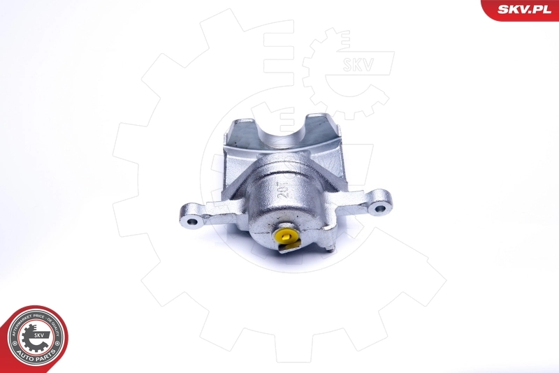 Brake Caliper 45SKV141