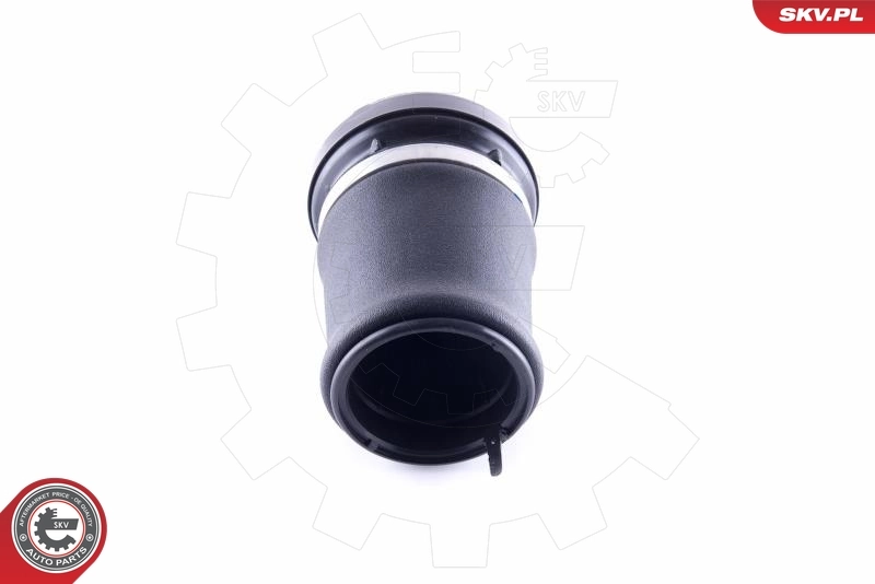 Air Spring, suspension 58SKV053