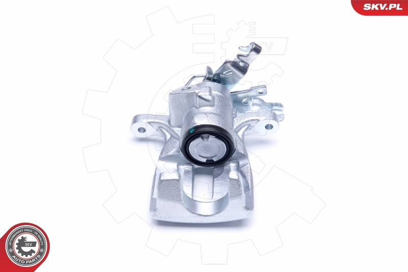 Brake Caliper 45SKV333