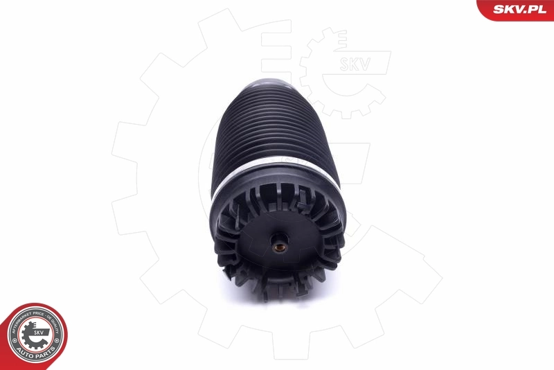 Air Spring, suspension 58SKV056