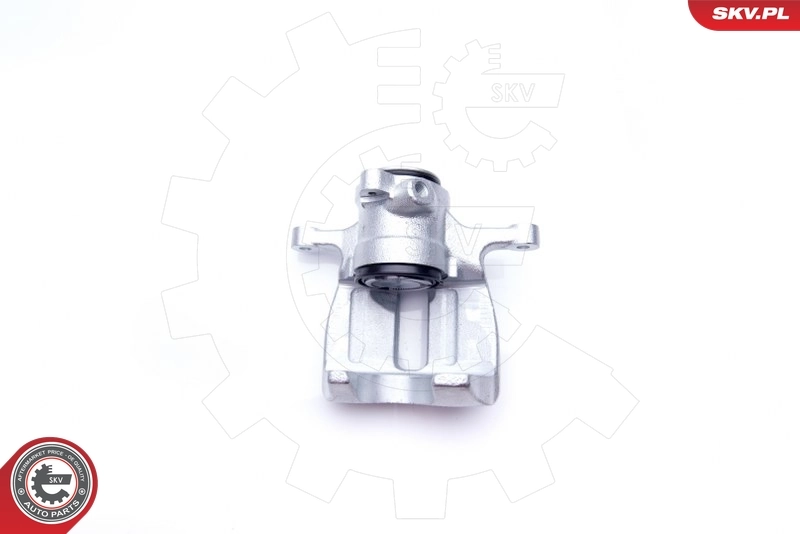 Brake Caliper 34SKV804