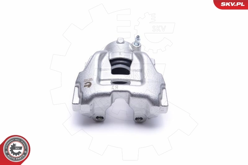 Brake Caliper 55SKV491