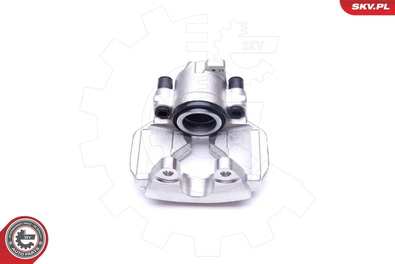 Bremssattel 42SKV272