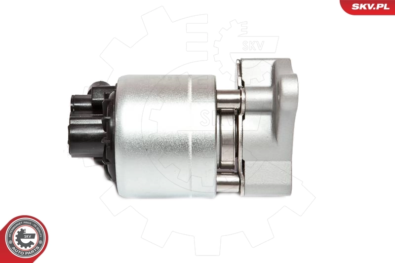 EGR Valve 14SKV042