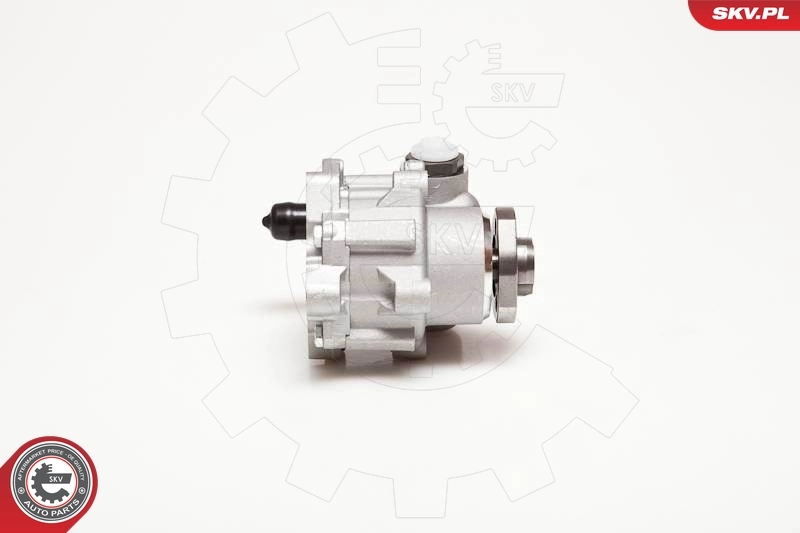 Hydraulic Pump, steering 10SKV110