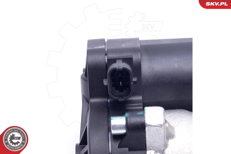 Brake Caliper 45SKV034