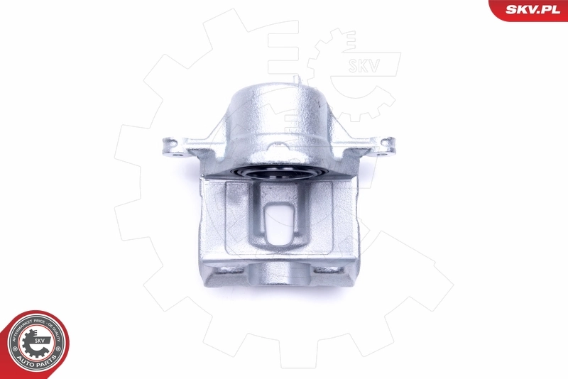 Brake Caliper 46SKV212