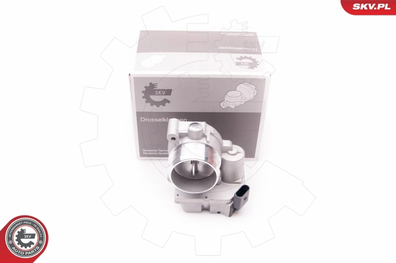 Throttle Body 12SKV056