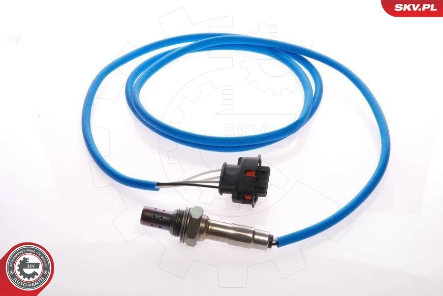 Oxygen Sensor 09SKV055