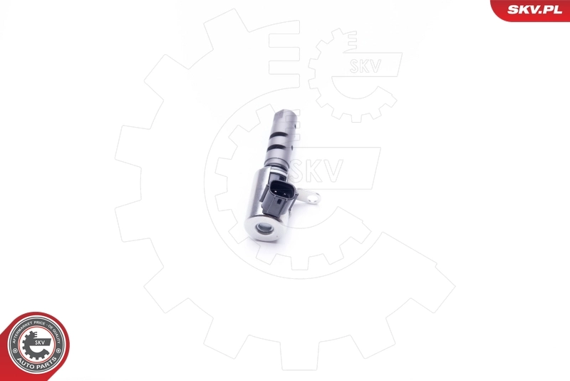 Control Valve, camshaft adjustment 39SKV038