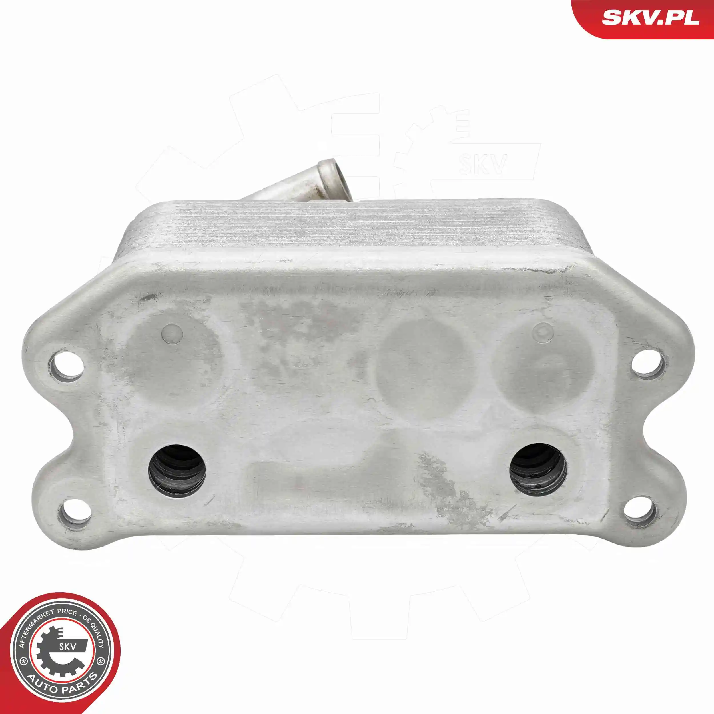 Oil Cooler, engine oil 31SKV302