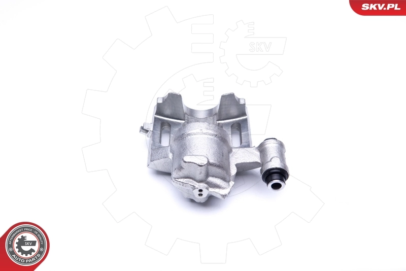 Brake Caliper 42SKV131