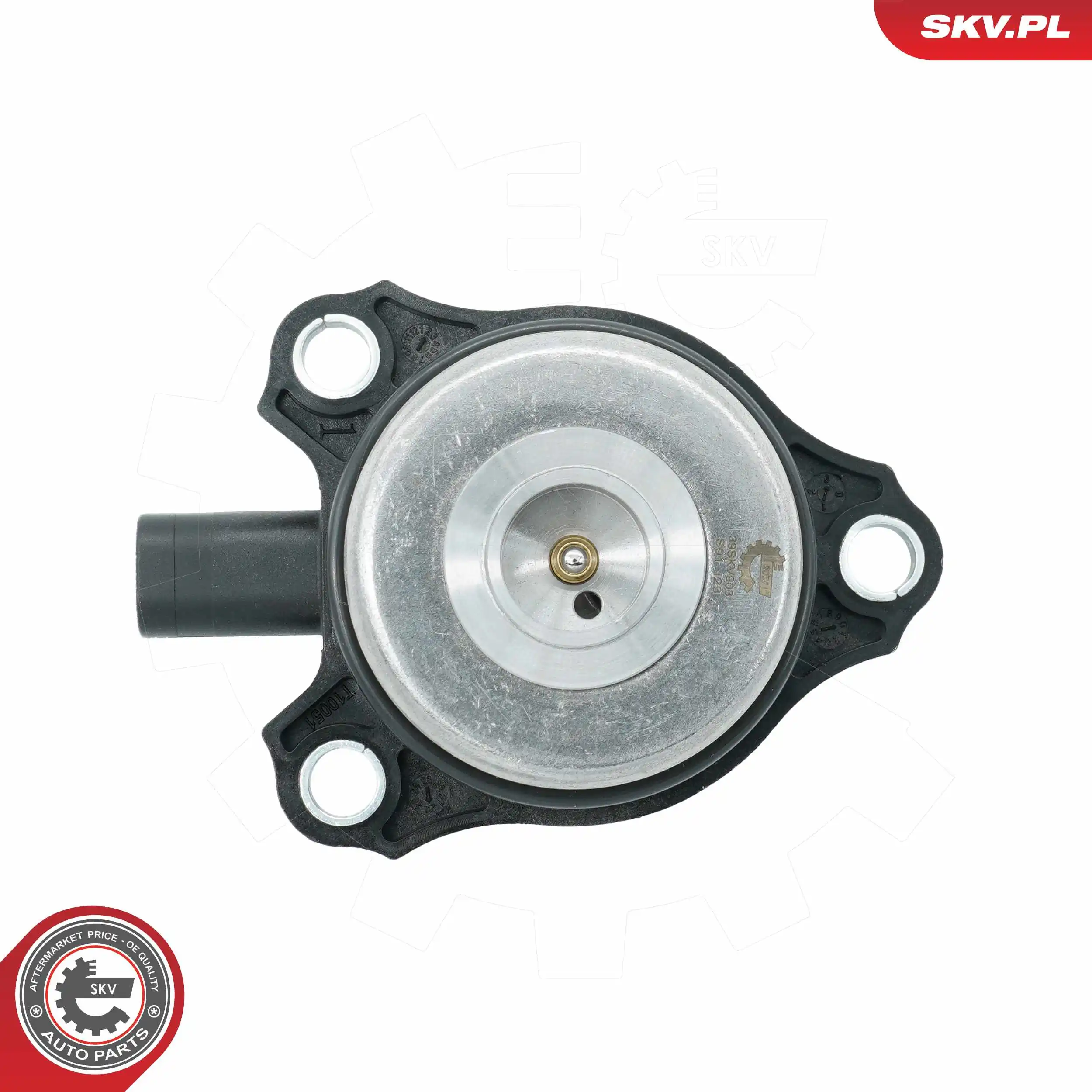 Central Magnet, camshaft adjustment 39SKV903