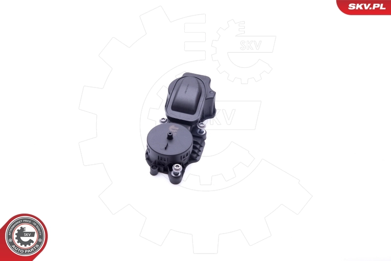 Valve, crankcase ventilation 31SKV069