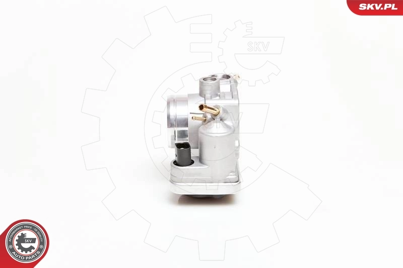 Throttle Body 12SKV037