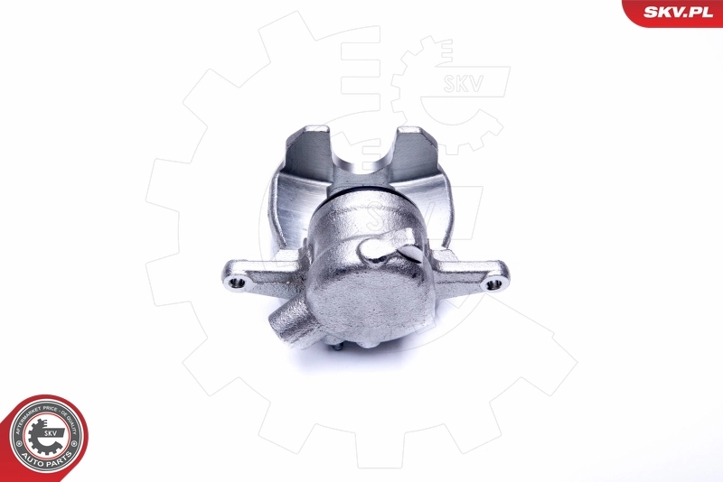 Brake Caliper 44SKV742