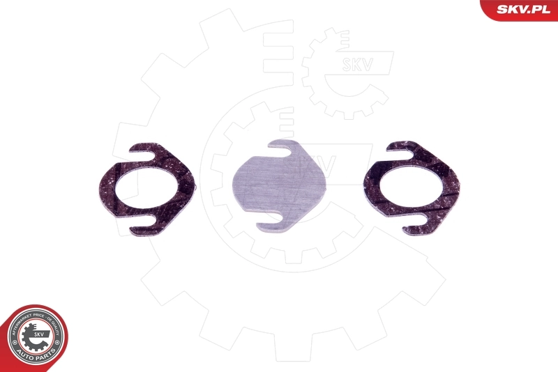 ESEN SKV 14SKV539 Repair Set, EGR valve