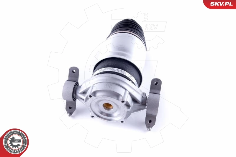 Air Spring, suspension 58SKV049
