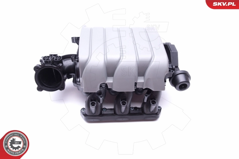 Intake Manifold Module 49SKV002