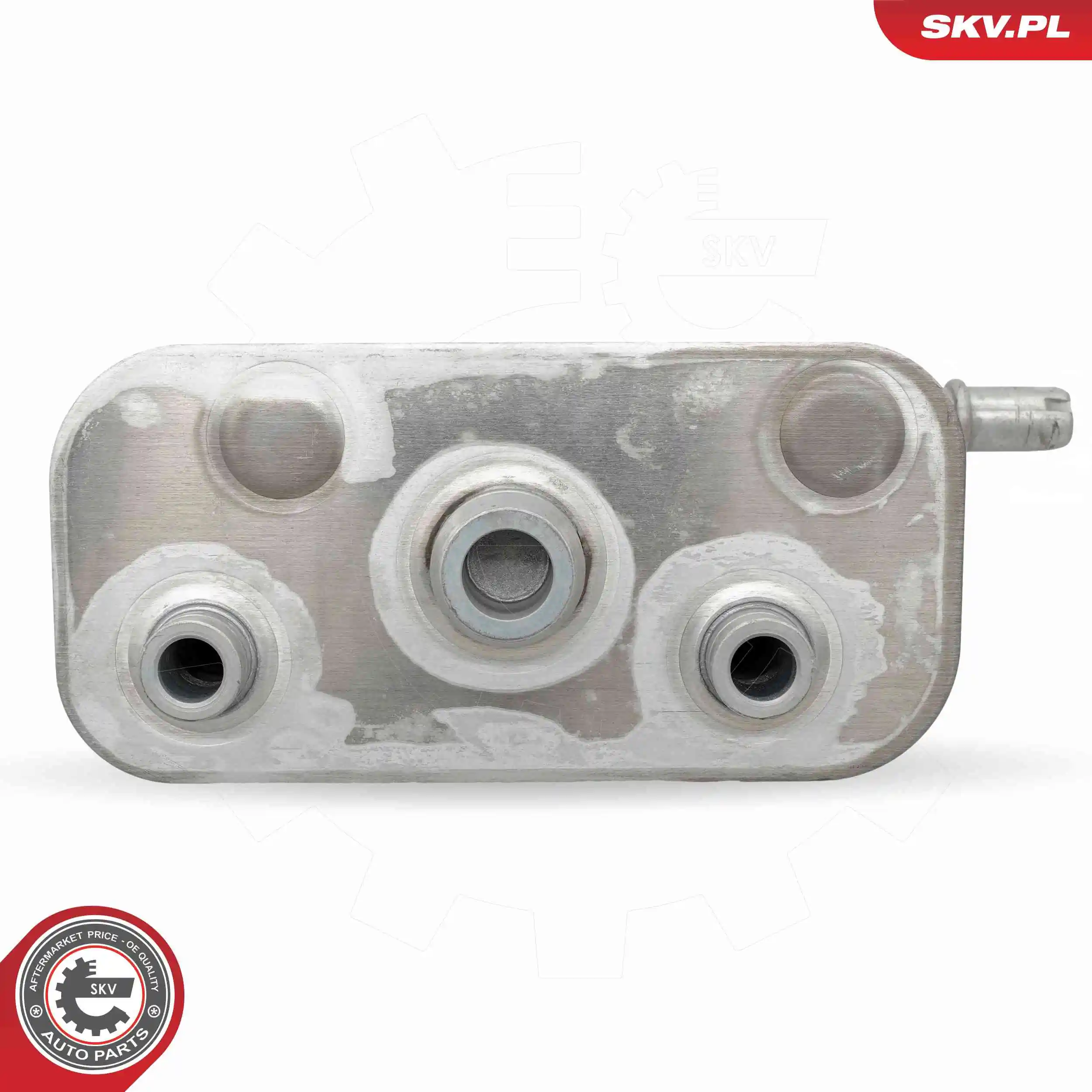 Oil Cooler, engine oil 31SKV281