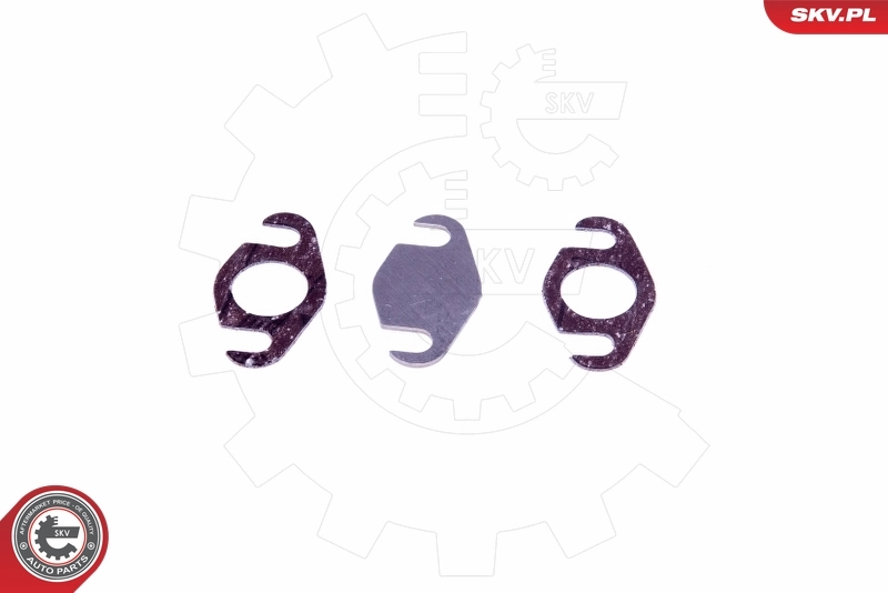 ESEN SKV 14SKV560 Repair Set, EGR valve
