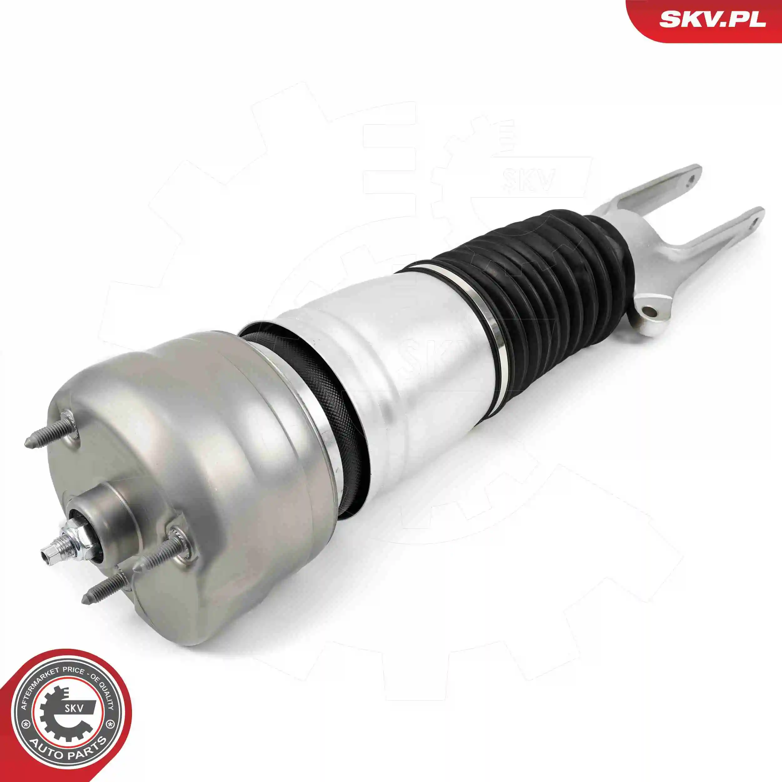 Air Suspension Strut 58SKV705