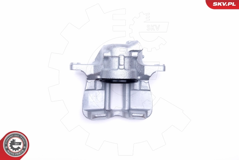 Brake Caliper 50SKV332